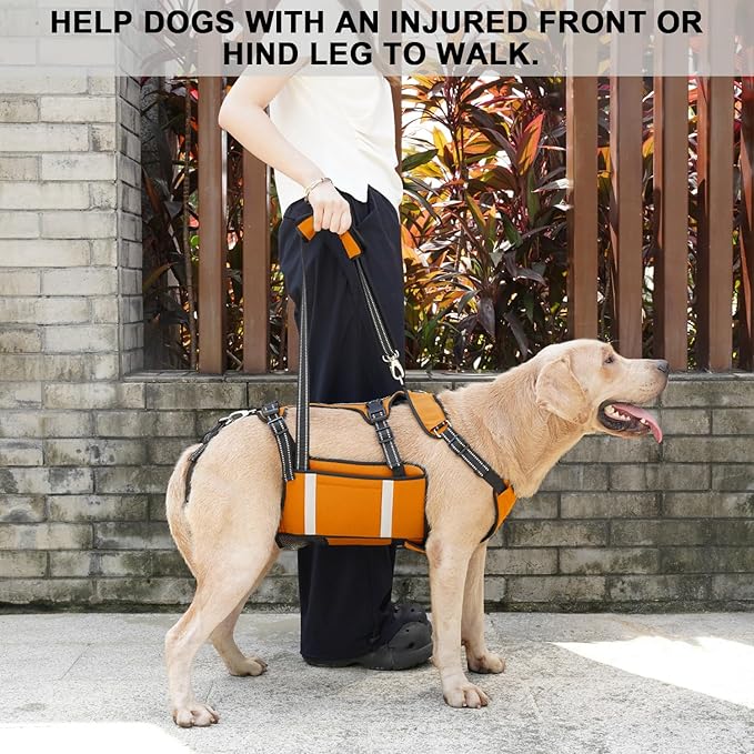 COODEO Mobility Dog Lift Harness, Emergency Carry Sling, Pet Rear Leg Support Rehabilitation Lifts Vest, Dog Carrier for Senior Dogs Joint Injuries, Arthritis (Orange, M)