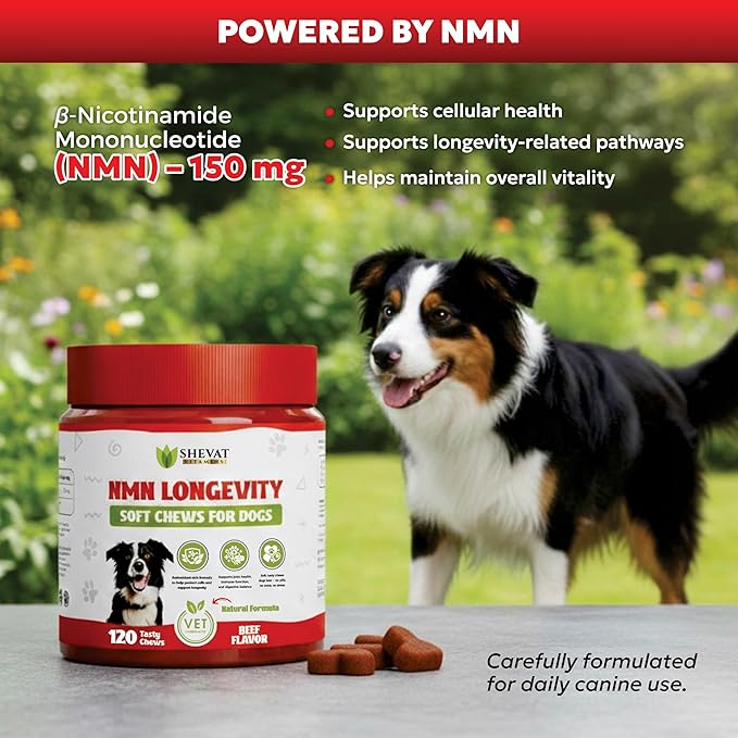 NMN Longevity Soft Chews for Dogs – Beef Flavored – Antioxidant Support for Joint Health, Immune Function, and Cellular Protection – 120 Count