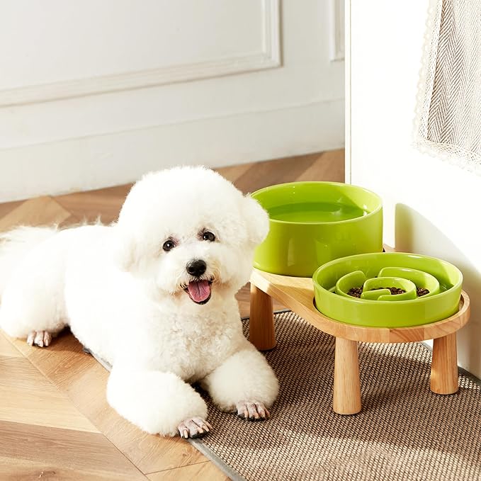 Ceramic Slow Feeder and Water Bowl Set for Medium and Large Dogs, 8.0 Inches Ceramic Dog Bowls Elevated with Wooden Stand, 2.0 Cups Dog Slow Feeder(30oz) and 70oz Water Bowl Set, Green