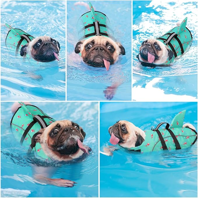 Queenmore Large Dog Shark Life Jacket, Safety Dog Life Vest for Swimming, Boating, Kayaking, GreenPrints, Size Large