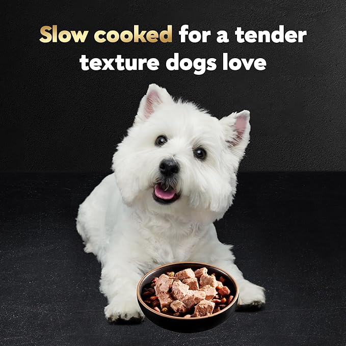 Cesar Filets in Gravy, Adult Wet Dog Food, Turkey Recipe, Wet Food for Dogs, 3.5 oz Trays, 24 Count