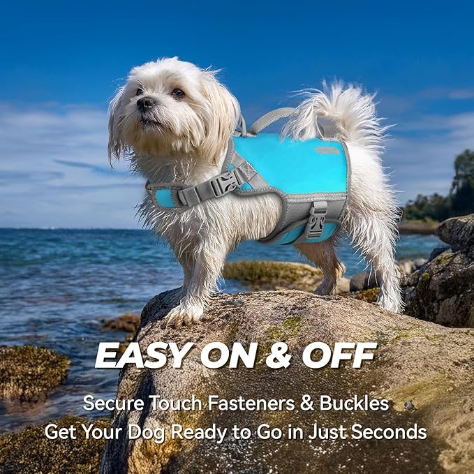 VIVAGLORY Neoprene Dog Life Vest, Dog Life Jacket for Swimming & Boating, Lightweight & Buoyancy for Puppy Doggy, Swimming Vest with Handle, XS, Teal