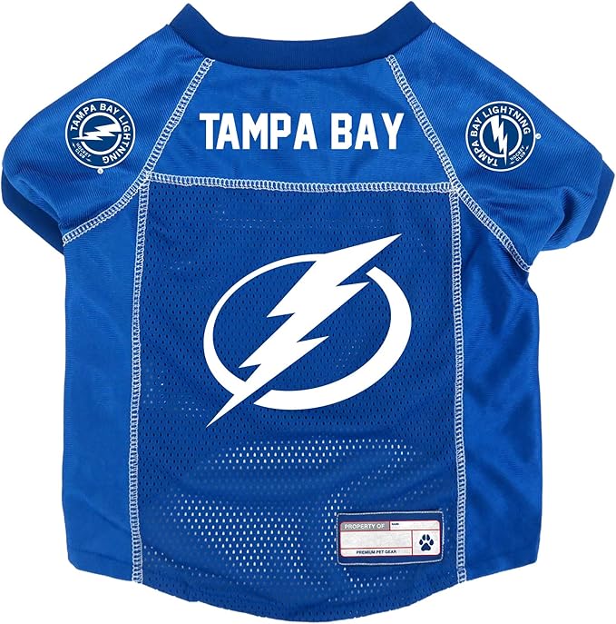 Littlearth NHL Detroit Red Wings Basic Pet Jersey, Team Color