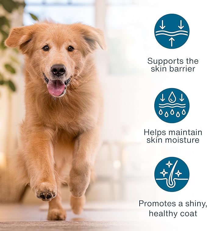 JustFoodForDogs JustFresh Boost Sensitive Skin Dog Food Topper for Immune Support and Healthy Coat, Human-Grade Fresh Pet Meal Booster, 8 oz Pouches - 8 Pack