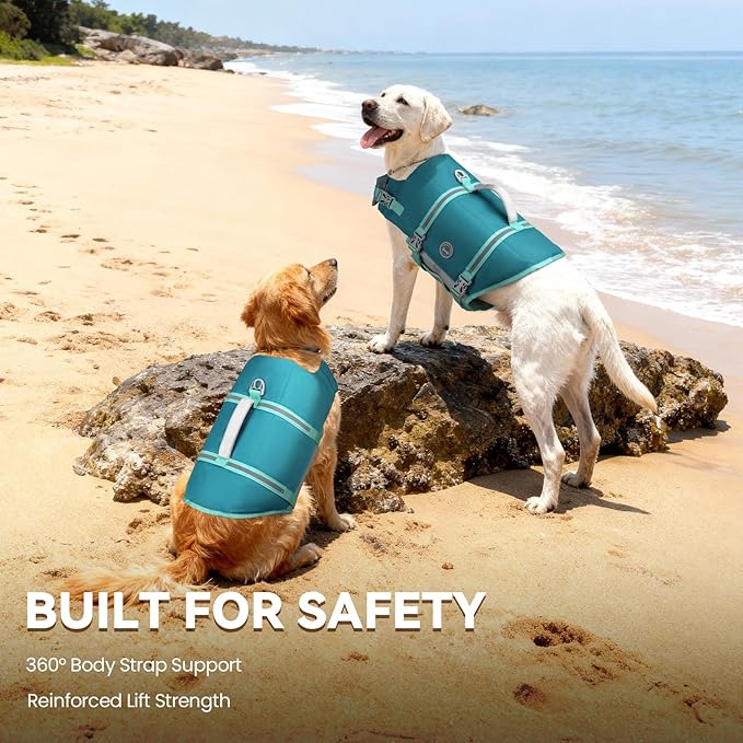 VIVAGLORY Rip Stop Dog Life Vest, Swimming Vest with Handle, Buoyancy for Doggy Puppy, Dog Life Jacket for Swimming & Boating, XS, Turquoise