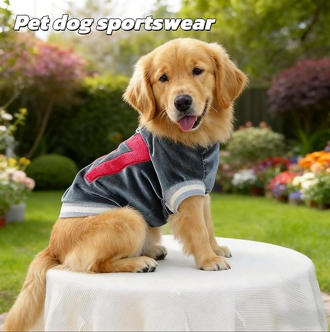 Dog&Cat Jersey,Pet Clothes for Dogs&Cats，Number 97,Soft Warm Cotton Blend Sweatshirt for Fall&Winter, Breathable Cozy Pet Sports Shirt, Durable Outdoor Daily Wear (Blue, M)