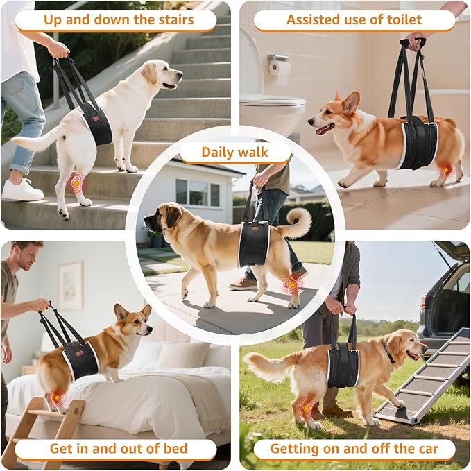 LOOBANI Dog Lift Harness for Back Legs, Portable Dog Sling for Large Dogs Hind Leg Support, Comfortable Supports Helps Canie Hip Arthritis K9 Cruciate Ligament Rehabilitation