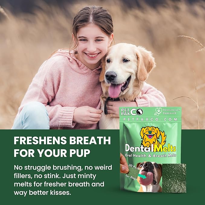 Bad Breath Oral Support for Dogs 5 in 1 – 10 Oral Melts – Natural Sage, Spirulina, Apple Cider Vinegar – Dog Dental Care Products & Breath Freshener – Fast Dissolving Dog Breath Treats
