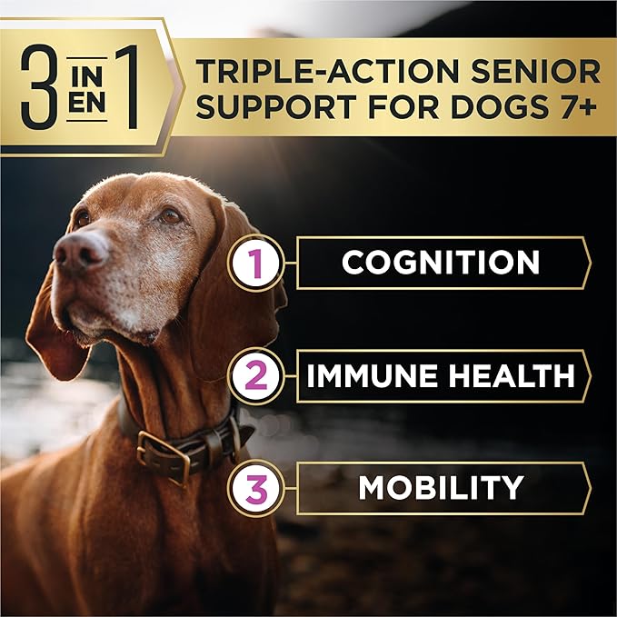 Purina Pro Plan AdvantEDGE Senior Support Plus Large Breed Shredded Blend Chicken and Rice Formula Dry Dog Food - 12 lb Bag