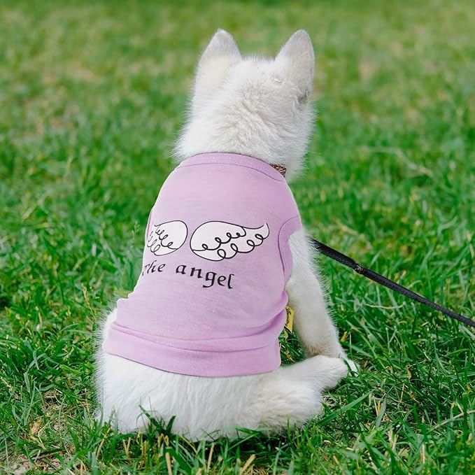 Reginary 8 Pieces Dog Shirts Girl Small Dog Clothes for Chihuahuas Yorkies Female Puppy Shirts Printed Pet Outfit Cute Breathable Soft Valentine's Day Doggie Cat Lovers Gift(Vivid Pattern,Large)