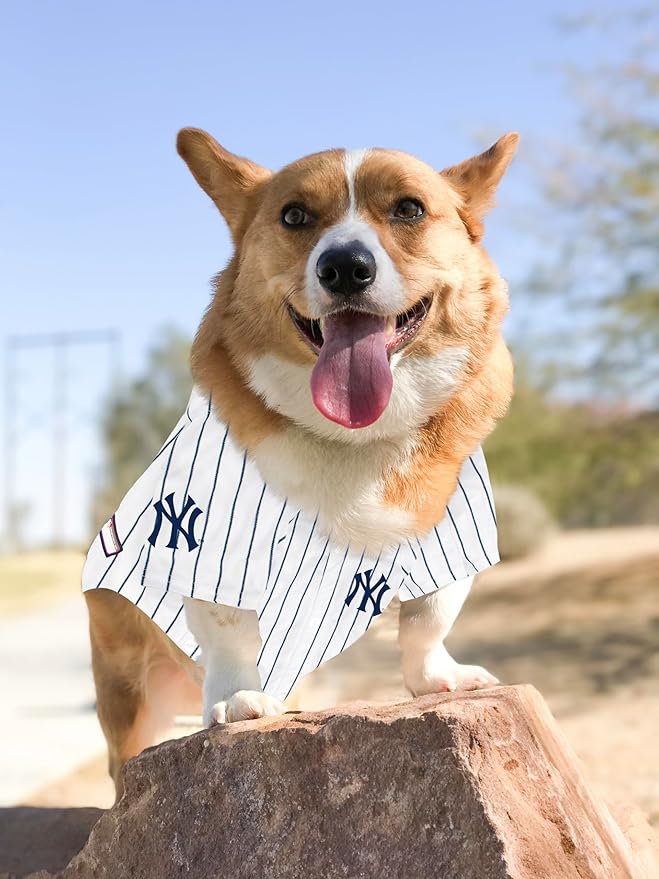 Official MLB New York Yankees Pet Jersey for Dogs & Cats, Size X-Large - Stylish Baseball Jersey for Your Furry Fan- Show Off Team Spirit with The Perfect Fan Apparel Gear for Pet, Dog & Cat