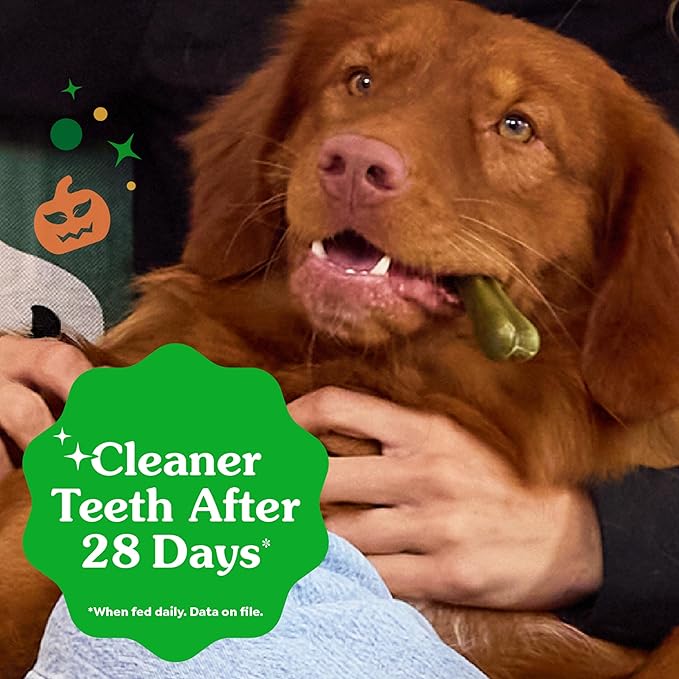 Greenies Veterinarian-Recommended, Limited-Edition Natural Dental Dog Treats Regular Size, Pumpkin Spice Flavor, 12 oz. Pack, 12 Count
