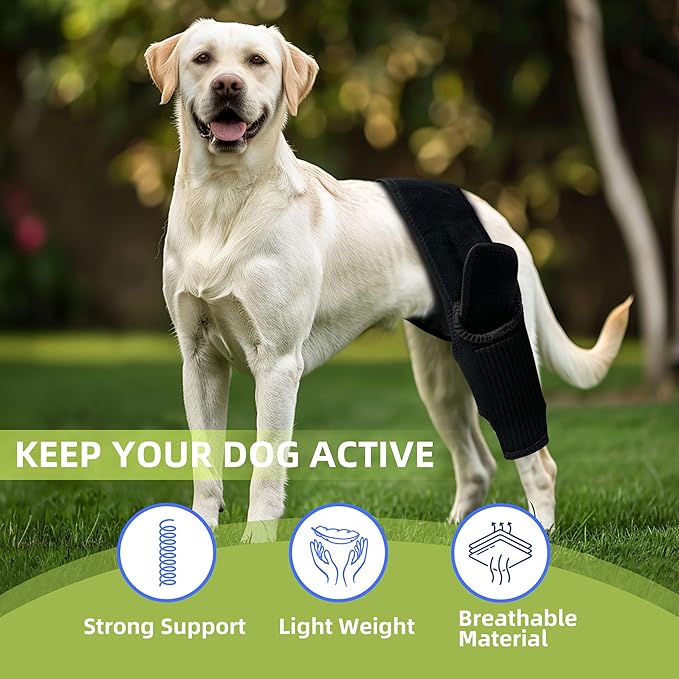 Dog Hip Brace, Knee & Leg Support Brace for ACL Recovery, Ligament Injury - Breathable & Adjustable Dog Leg Brace for Senior Dogs, Post-Surgery Rehabilitation & Mobility Aid(Size XL)