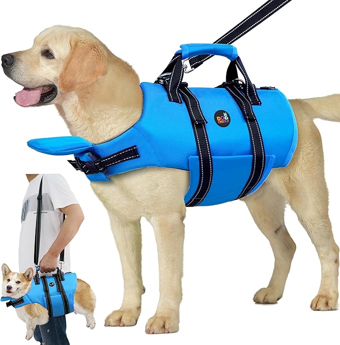 Dogcheer Dog Life Jacket with Zipper and 4ft Leash, Adjustable Pet Life Vest for Swimming Boating, High Buoyancy Flotation Swim Vest PFD for Small Medium and Large Dogs-Blue,XS