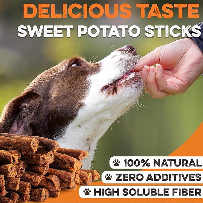Sweet Potato Dog Treats - Grain Free, Salmon & Kelp Crunchy Sticks - Great Tasting, Promotes Positive Dog Gut Health with Natural Anti-Diarrhea Properties, No Preservatives Added (14oz)