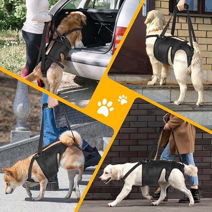 Dog Lift Harness, Dog Sling for Large Medium Dogs' Hind Leg Support Pee-Able. Ideal for Seniors, Disabled, Injured & Arthritic Dogs in ACL Recovery, Secure Harness for Assisted Mobility (Large)