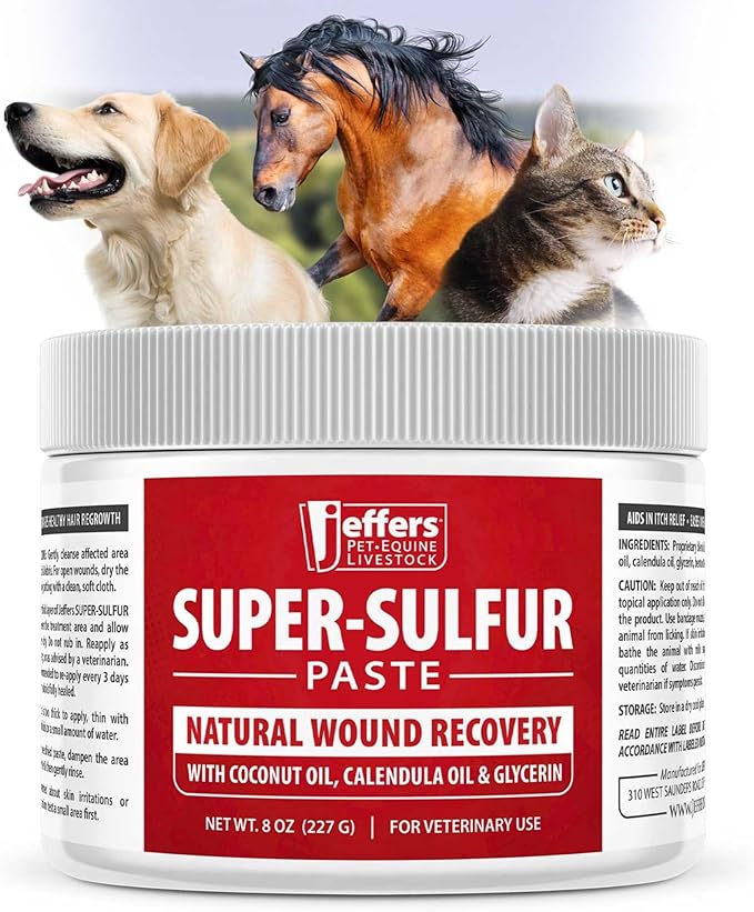 Jeffers Super Sulfur Natural Healing Paste for Dogs, Cats & Horses 8 oz – Wound Care, Skin & Coat Support for Animals, Soothes Itching & Inflammation, Dry Rough Flaky Skin, Hot Spots, Paw, Hoof Care