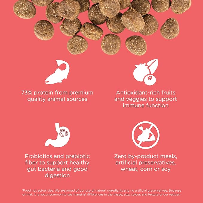 Go! Solutions Carnivore Salmon + Cod Grain-Free Dry Dog Food, Our Highest-Protein Kibble Made with Real Meat & Fish, Chicken-Free Recipe, for Puppies, Adults & Seniors, 22 lb Bag