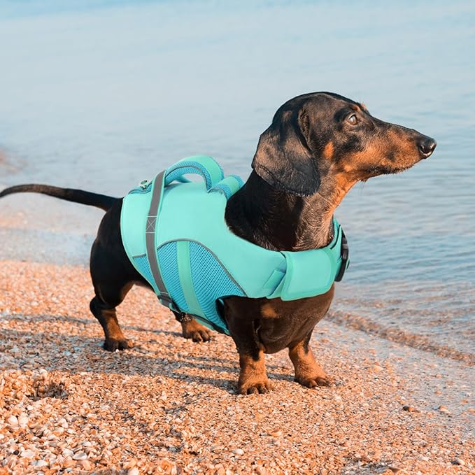 Queenmore Small Dog Life Jacket, Adjustable Ripstop Dog Life Vest for Swimming Boating, Pet Lifesaver with Superior Buoyancy and Rescue Handle, Dogs Swimming Vest for X-Small Dogs（LightBlue,XS）