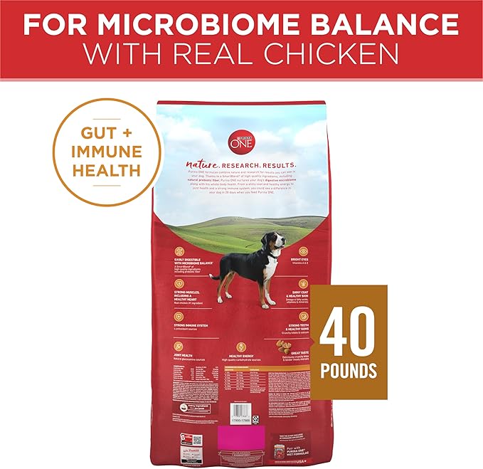Purina ONE Chicken and Rice Formula Dry Dog Food - 40 lb. Bag