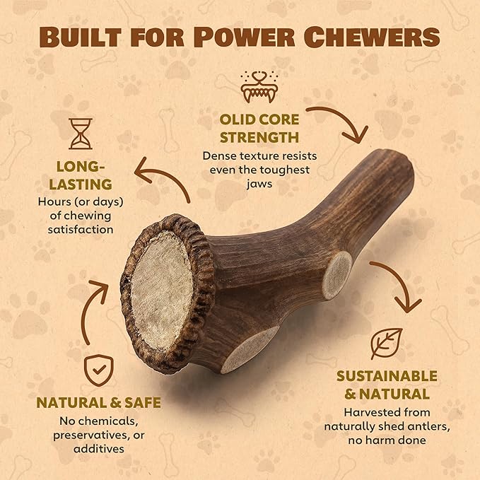 Jumbo Whole Elk Antlers for Dogs | 100% Natural & Organic | Dog Elk Antler for Aggressive Chewers | Whole Dog Antler Chews for Large Dogs 60-90+ lbs | 7-12 Inches, XXL | 12 oz