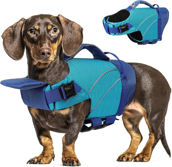 Queenmore Dog Life Jacket with Front Float, Adjustable Ripstop Dog Life Vest for Swimming Boating, Pet Lifesaver with Rescue Handle, Enhanced Buoyancy Cat Pool Float (Blue,L)
