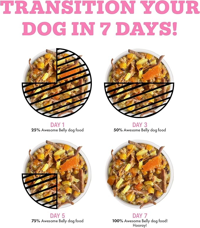 Weruva Awesome Belly Wet Dog Food, Beef & White Rice, 6oz Can (Pack of 8)