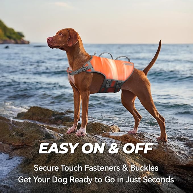 VIVAGLORY Neoprene Dog Life Vest, Dog Life Jacket for Swimming & Boating, Lightweight & Buoyancy for Puppy Doggy, Swimming Vest with Handle, XL, Orange Sunset