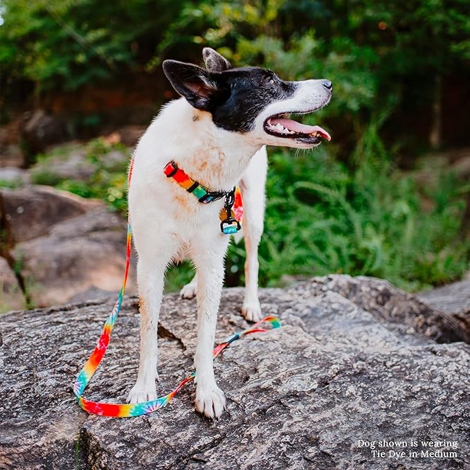 Wilderdog Waterproof Dog Collar - Repels Water & Dirt - Medium 13"-18" - Tie Dye