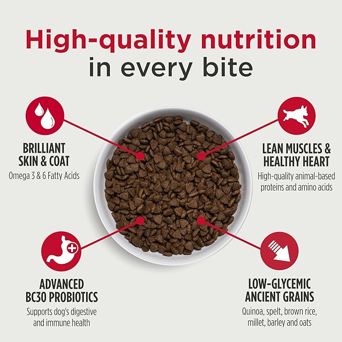 Nulo Frontrunner Dry Dog Food - Adult High-Protein Chicken, Oats & Turkey Recipe, Natural Kibble with Ancient Grains, Probiotics, Taurine, Omega 3 for Small, Medium and Large Breeds, 5lb Bag