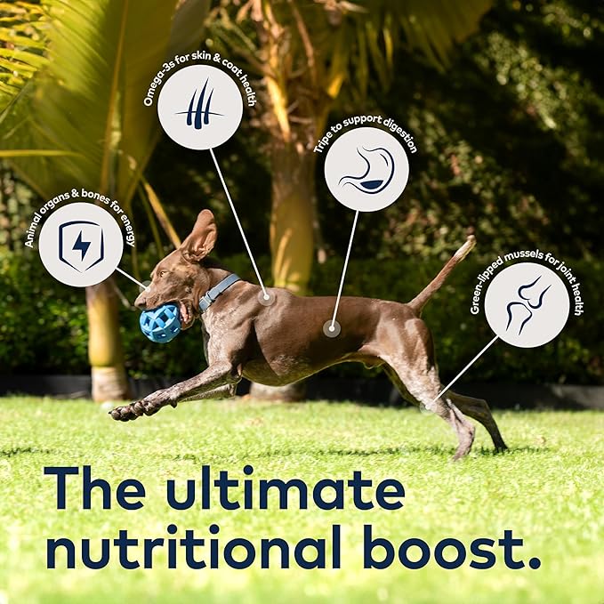 ZIWI Peak Canned Wet Dog Food – All Natural, High Protein, Grain Free, Limited Ingredient, with Superfoods (Mackerel & Lamb, Case of 12, 13.75oz Cans)