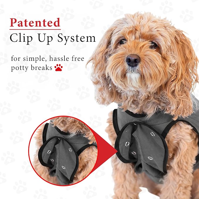 BellyGuard Dog Surgery Recovery Suit, Dog Onesie for Post-Op Care, Recovery Apparel for Female and Male, Surgical Body Cover for Canine Healing Support