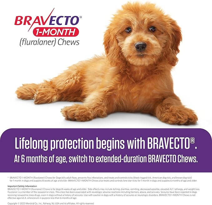 BRAVECTO 1-Month Flea & Tick Chew for Puppies, 1 Chew, 1 Month Supply, 4.4-9.9 lbs., Yellow Box