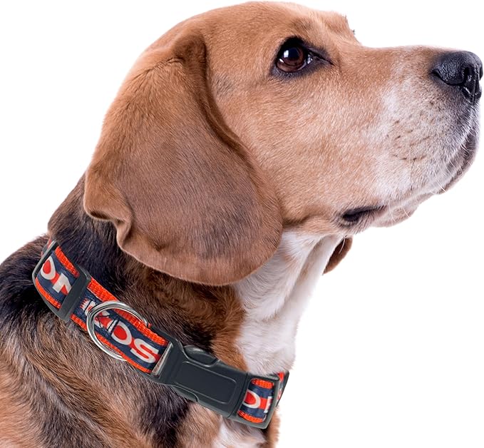 Pets First NFL Denver Broncos Pet Collar, Large, DEN-3036-LG