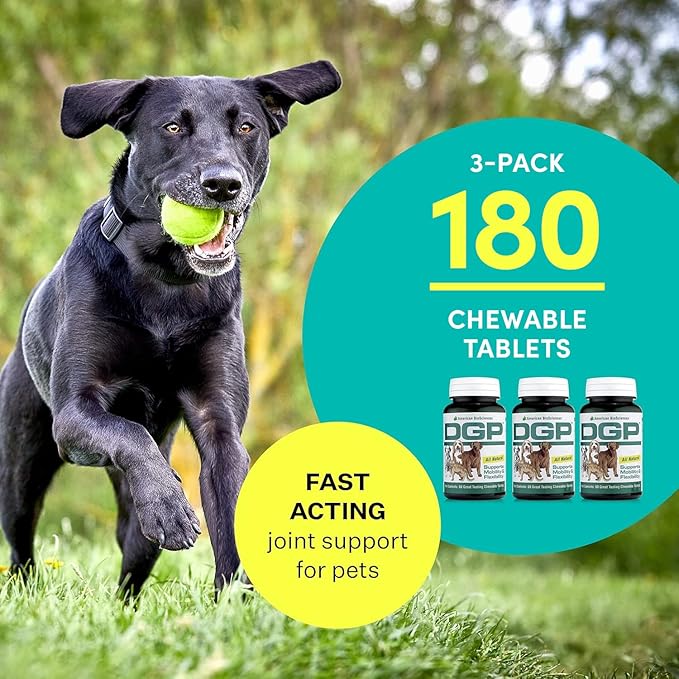 American BioSciences DGP, All-Natural Joint Supplement for Dogs - Joint Support with Turmeric, Boswellia Extract & More - Quick Effect for Pet Mobility Support - 180 Chewable Tablets (Pack of 3)