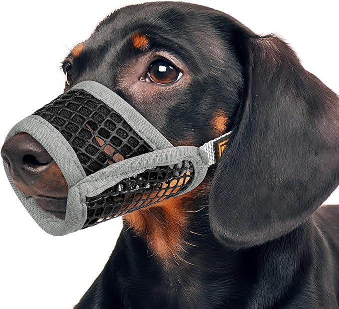 Mayerzon Dog Muzzle for Biting, Patented Soft Breathable Mesh Muzzle for Small Medium Dogs Chihuahua Dachshund Poodle, Adjustable Mouth Cover for Grooming, Chewing, Vet Visits (Grey Trim, M)