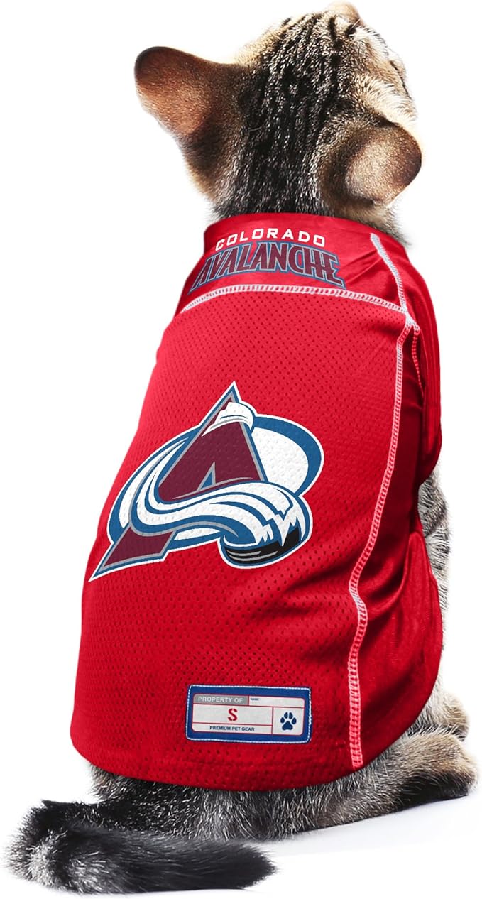 Littlearth NHL Detroit Red Wings Basic Pet Jersey, Team Color