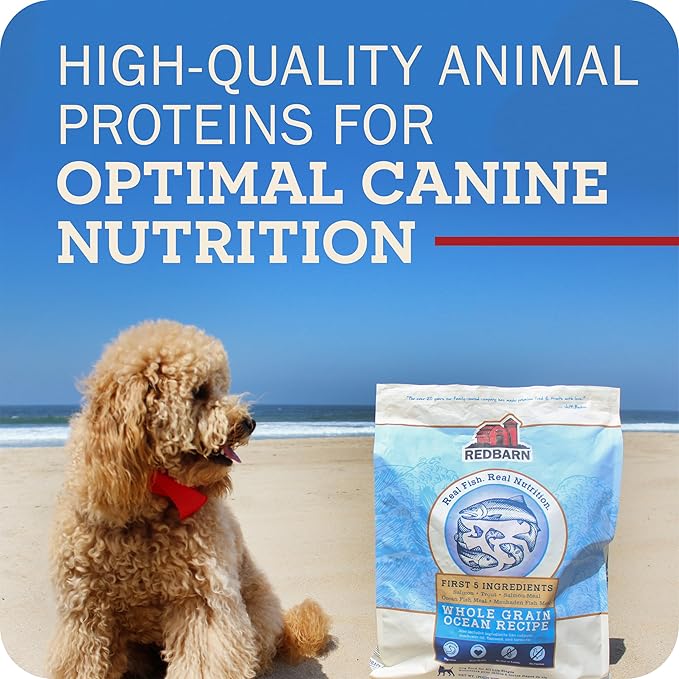 Redbarn Whole Grain Adult Dry Dog Food Kibble - Ocean Fish Recipe - Made in USA No Chicken Recipe with Functional Ingredients to Support Healthy Heart, Skin, Coat, Immunity & Digestion - 22lb