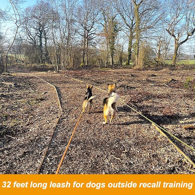 Vivifying Long Dog Leash, 32ft Reflective Dog Training Leash for Outside and Yard, Floating Long Line Lead with Soft Handle for Camping, Hiking, Swimming, Beach and Lake (Orange)
