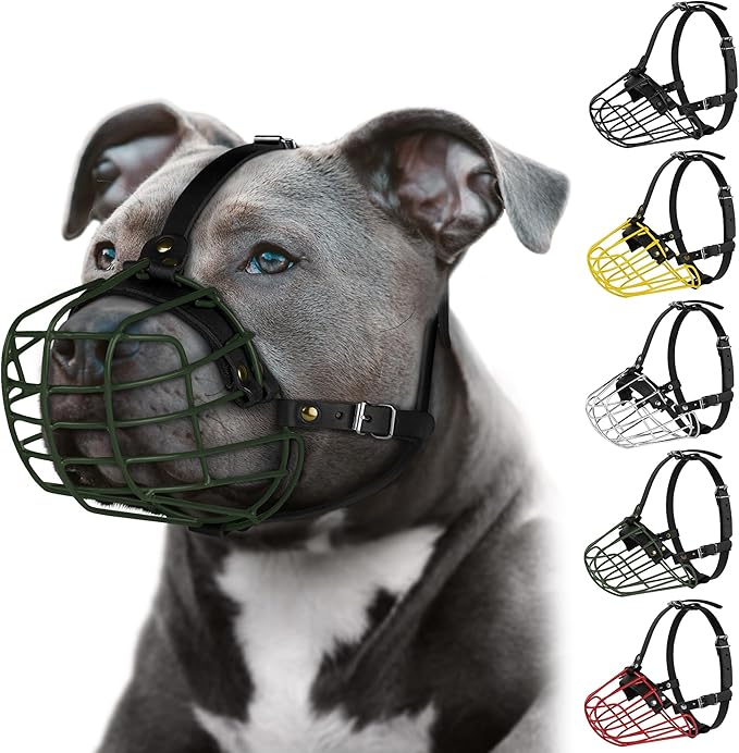 Pitbull Dog Muzzle Metal Mask Amstaff Secure Wire Basket Adjustable Durable Leather Straps for Large Dogs (Green)