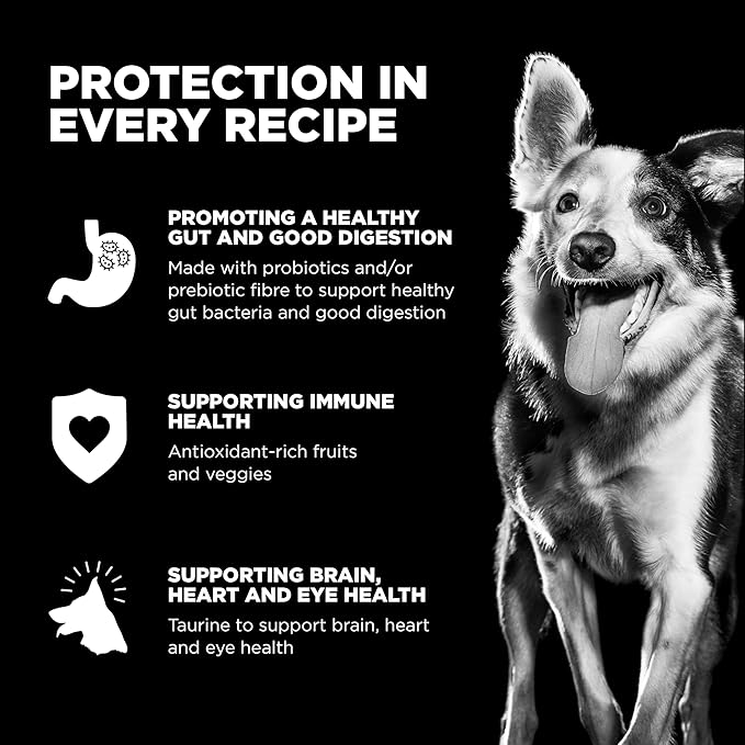 Go! Solutions Carnivore Chicken, Turkey + Duck Grain-Free Dry Puppy Food, Our Highest-Protein Kibble Made with Real Meat & Fish, Pumpkin & Probiotics for Good Digestion, 22 lb Bag