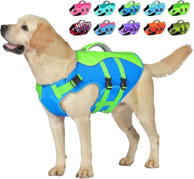 Dog Life Jacket, High Buoyancy Dog Life Vest with Handle for Swimming Boating, Adjustable Swimming Vest with Reflective Trim for Small Medium Large Dogs - Blue & Green, XL