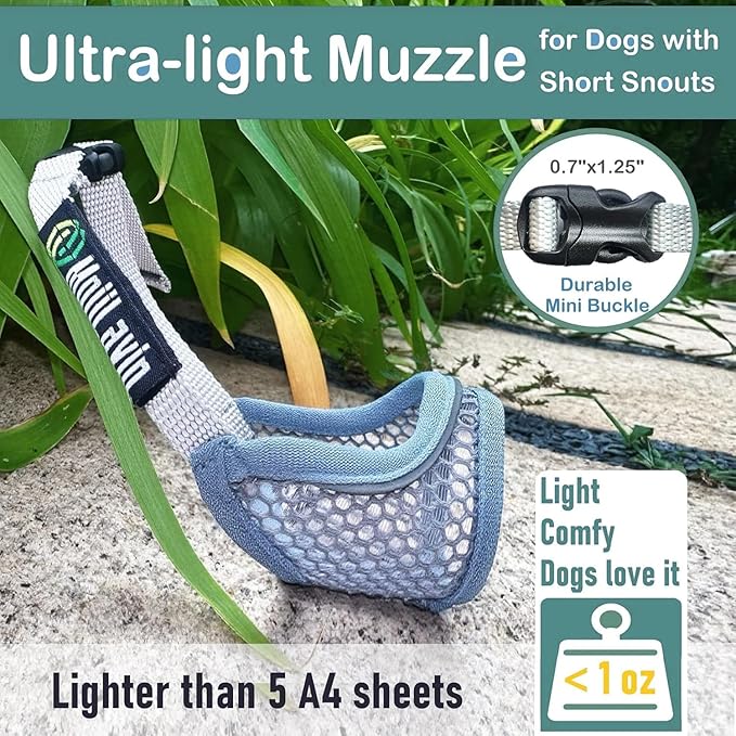 Dog Muzzle for Small Medium Dogs to Prevent Biting for Brachycephalic Dogs, Mini Poodle,Corgi,Short Snout Friendly, Soft Breathable Lightweight Mesh,Open Front, for Grooming Vet Visits (Mint Blue, M)