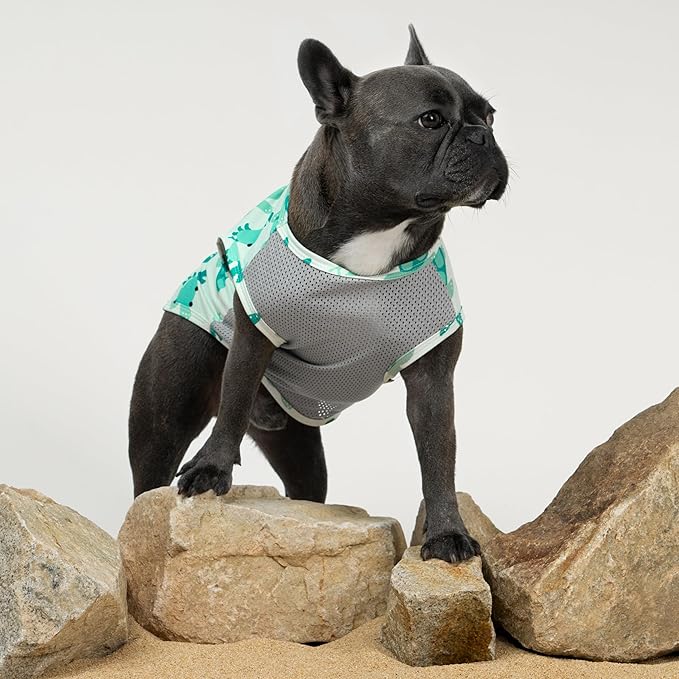 Fitwarm 2 Pack Marine UPF 50+ UV Sun Protection Dog Shirt, Lightweight Cooling Vest, Quick Dry Summer Clothes for Small Dogs Boy Girl, Pet Outfit, Sky Blue, Mint Green, XL