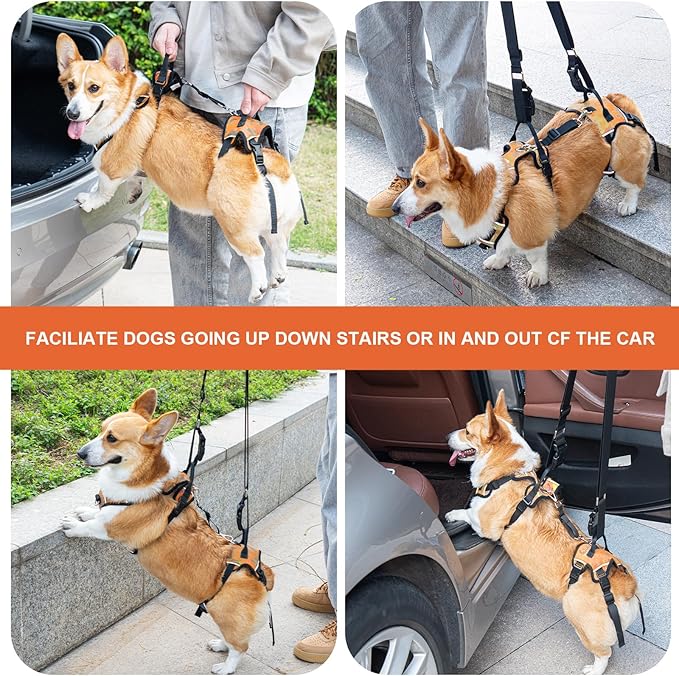 Dog Lift Harness, Dog Lift Sling Carrier with Handle & Shoulder Sling, Support Harness for Rear Back Legs Helps,Disabled,Arthritis,Joint Injuries,Paralysis Up Stairs（Orange,Medium）