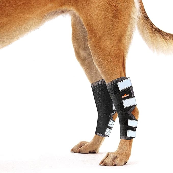 NeoAlly® - Rear Leg Hock Brace, Dog Leg Brace for Rear Leg, Hock & Ankle Support for Large Dogs, Dog Brace for Torn Acl and Ccl, Long Version, Large, 1 Pair