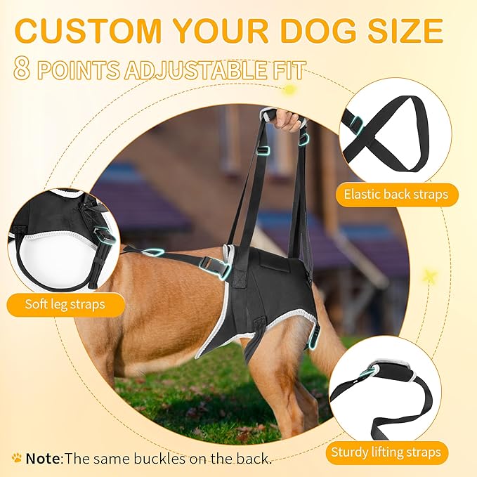 Dog Lift Harness for Large Dogs, Hind Leg Support to Help Rehabilitate, Hip & Back Leg Joint Injury Dog Lift, Reflective Rear Limbs of Elderly Dogs with Weak Hind Legs ACL Brace