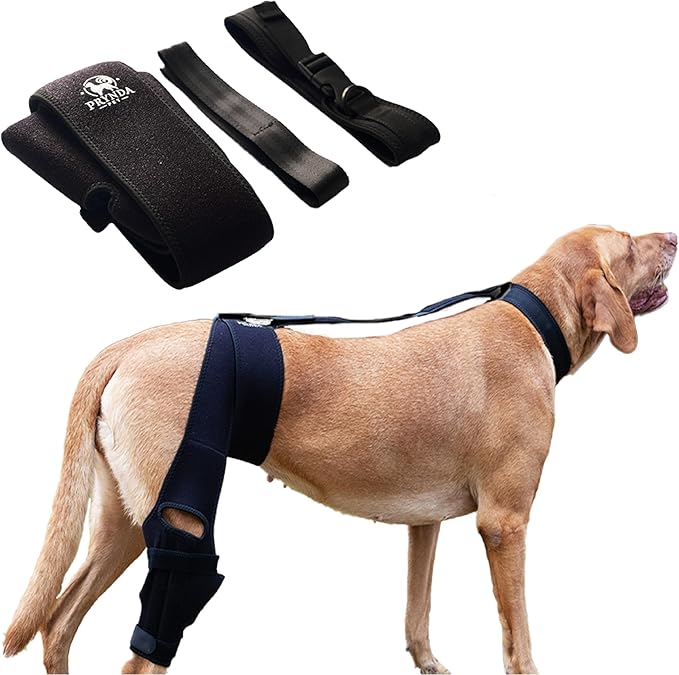 Adjustable Dog Knee Brace for Torn ACL and Luxating Patella - Support for Back Leg, Hip Dysplasia, and Post-Surgery Recovery. Optimal Comfort and Stability for Your Beloved Pet