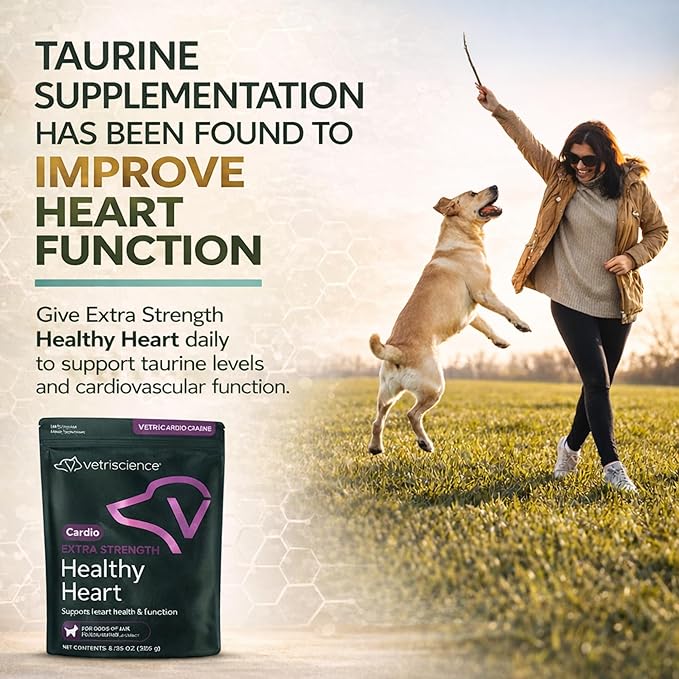 VetriScience Extra Strength Healthy Heart Chews, Vetri Cardio Supplement for Dogs, Cardio Support Supplement with Taurine, Carnitine, CoQ10, and Hawthorn, Chicken, 60 Count