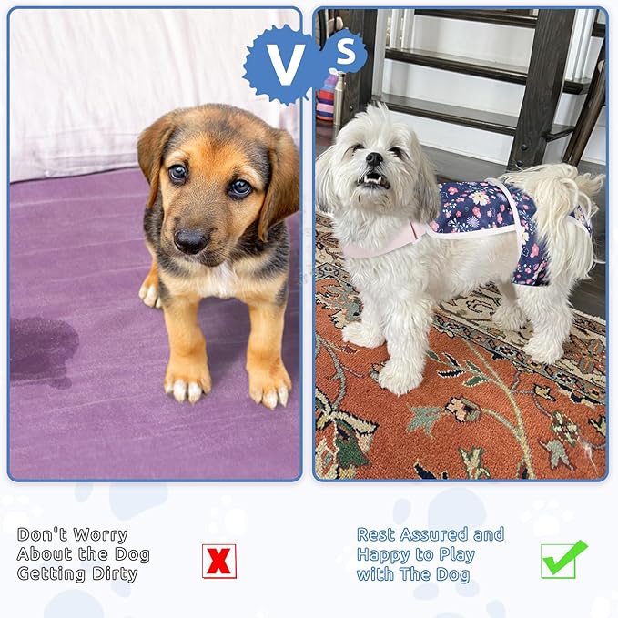 ASENKU 2 Pack Dog Diapers Female Dogs, Dog Suspenders Reusable Doggie Diapers for Female Dogs Small,Washable Dog Period Diapers Dog Panties for Small Girl Dogs in Period Heat